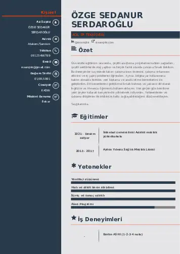 Acil Tıp Teknisyeni CV Örnekleri cv indir